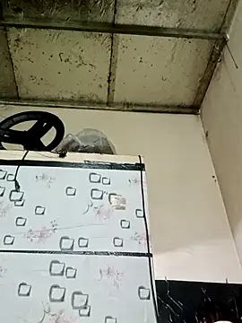 Sana-vn online show from March 1, 2026, 12:21 am