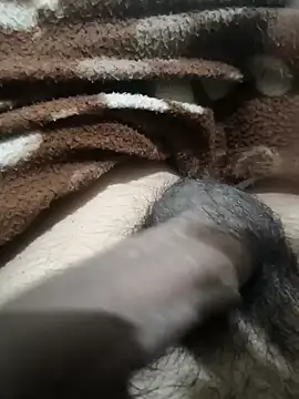  chota bunny  online show from February 4, 2026, 4:40 am