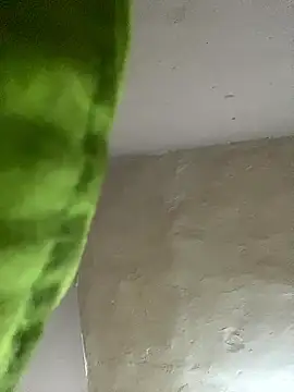 kwandero1234 online show from January 12, 2026, 7:42 pm