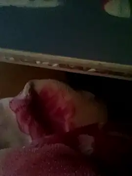 Snapshot of thich_lo chatting on January 15, 2026, 6:17 am thich lo online show from January 15, 2026, 6:17 am