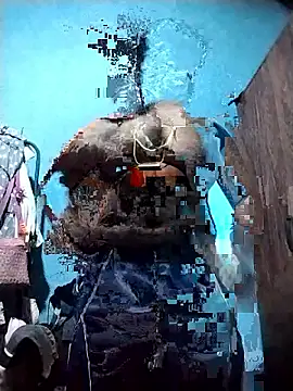 Danu2005dsa online show from March 22, 2026, 5:47 pm