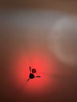 witchdub online show from February 24, 2026, 2:07 pm