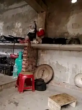 cdyyds-69 online show from February 5, 2026, 5:25 am