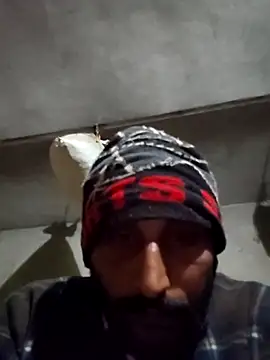 kulwantj online show from January 19, 2026, 2:26 am