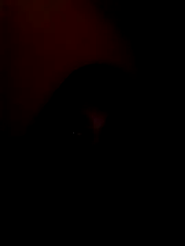 arushi bb online show from January 15, 2026, 3:37 pm