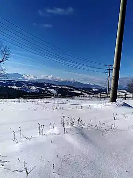 Ivan9iutt online show from January 15, 2026, 10:51 am