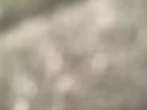 Snapshot of Bignastydaddy204 chatting on January 11, 2026, 1:56 am Bignastydaddy204 online show from January 11, 2026, 1:56 am