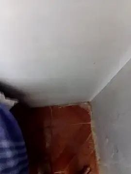 igorolive online show from January 11, 2026, 12:56 pm