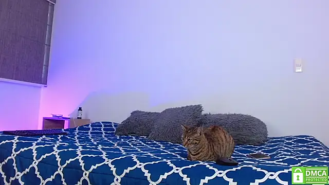 Snapshot of Noyrx chatting on February 16, 2026, 6:06 pm Noyrx online show from February 16, 2026, 6:06 pm