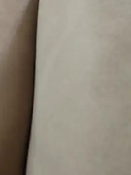 Bunny 2k online show from January 17, 2026, 12:48 am