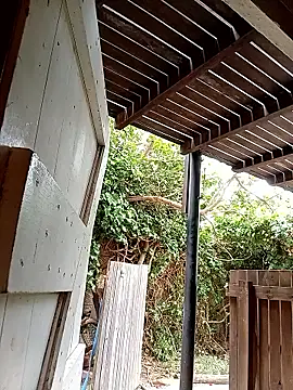 dicklife3485 online show from February 24, 2026, 8:26 am