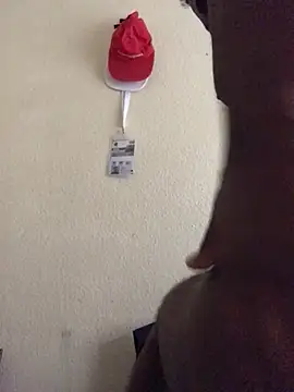 Sirbemine online show from April 24, 2026, 11:23 am