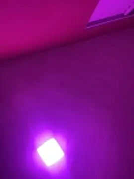 Snapshot of MorenaCariok chatting on February 17, 2026, 4:37 pm MorenaCariok online show from February 17, 2026, 4:37 pm