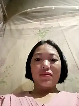 kotaka-shoow online show from February 24, 2026, 3:13 pm