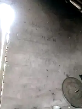 Gummiesu online show from February 3, 2026, 6:40 am