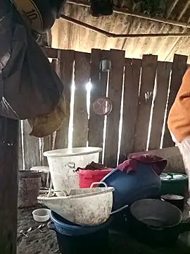 Bling sexy online show from March 2, 2026, 1:17 am