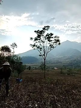 Jooj- online show from March 22, 2026, 9:00 am