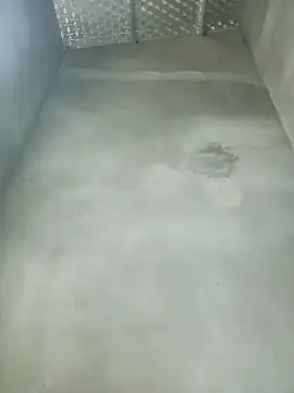 nana nana99 online show from February 16, 2026, 6:56 am