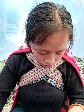 Hari-saka online show from February 27, 2026, 4:12 am