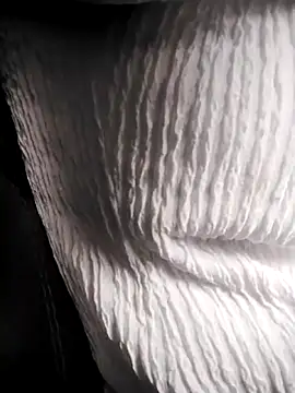 Snapshot of RosseLaure chatting on February 25, 2026, 7:58 pm RosseLaure online show from February 25, 2026, 7:58 pm