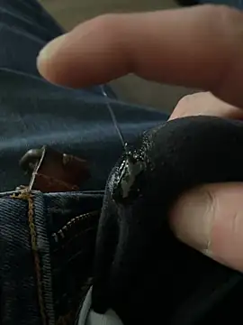 grossebite3859 online show from January 17, 2026, 1:58 pm