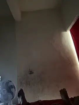 gabrielacachorra online show from February 11, 2026, 10:59 am