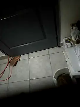 Punciprof online show from April 9, 2026, 9:32 pm