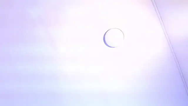 TINY TAY online show from February 11, 2026, 12:05 pm