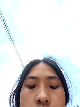 Hoa-tuylip online show from April 11, 2026, 7:56 am