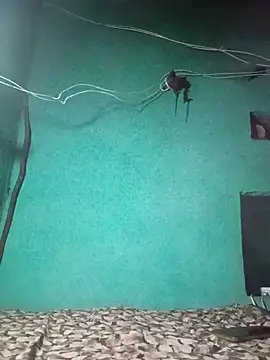 Babli sharma online show from April 22, 2026, 11:11 pm