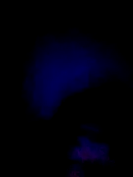 Snapshot of 061190 chatting on February 28, 2026, 3:44 pm 061190 online show from February 28, 2026, 3:44 pm