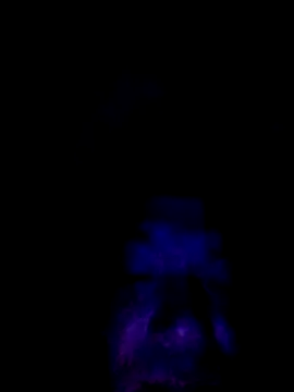 Snapshot of 061190 chatting on February 25, 2026, 3:23 pm 061190 online show from February 25, 2026, 3:23 pm