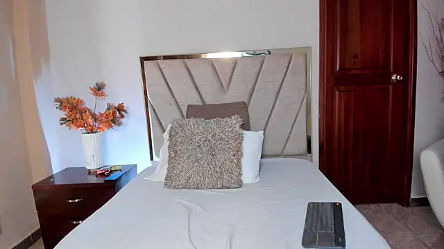 Snapshot of AylaStone chatting on February 15, 2026, 12:33 am AylaStone online show from February 15, 2026, 12:33 am