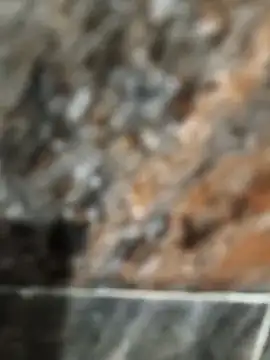 Bengal Tiger420 online show from April 17, 2026, 6:33 pm