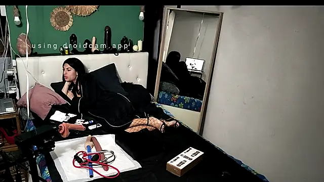 Snapshot of MarcoRoma313 chatting on February 20, 2026, 11:17 pm MarcoRoma313 online show from February 20, 2026, 11:17 pm