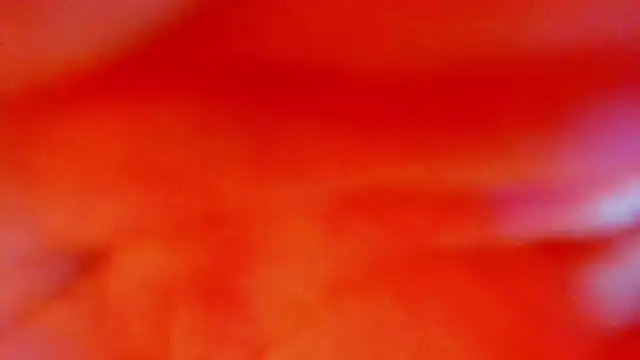 Snapshot of Katty_Kiiss_ chatting on May 5, 2026, 4:04 am Katty Kiiss online show from May 5, 2026, 4:04 am
