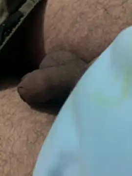 goodboyTelugu online show from April 25, 2026, 8:06 pm