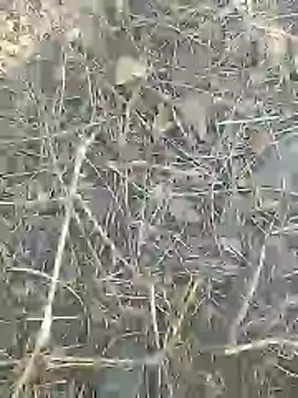 Cute Boy 4 online show from March 9, 2026, 8:40 am