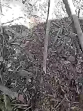 Cute Boy 4 online show from April 15, 2026, 8:20 am