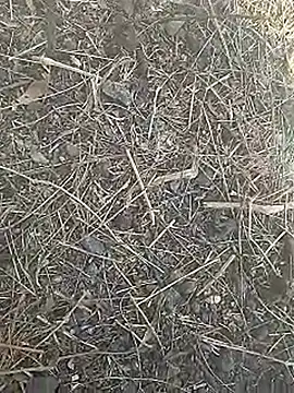 Cute Boy 4 online show from March 8, 2026, 7:44 am