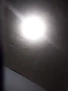 Bcbom online show from April 8, 2026, 10:50 am