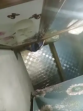 Dunk-namic online show from April 14, 2026, 3:17 pm