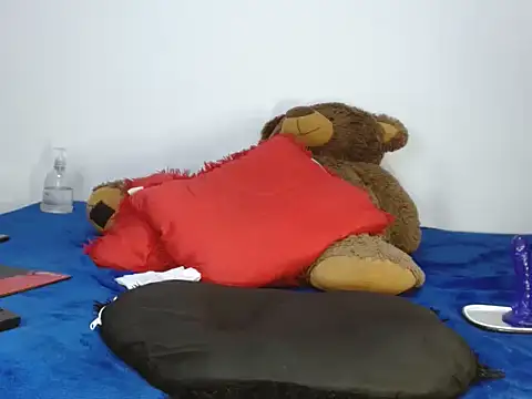 Snapshot of Davissmith89 chatting on February 17, 2026, 8:28 pm Davissmith89 online show from February 17, 2026, 8:28 pm