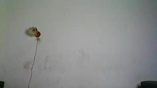 NickiKisinger online show from February 7, 2026, 5:26 am