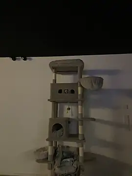 Just-Lilly online show from March 10, 2026, 12:14 am