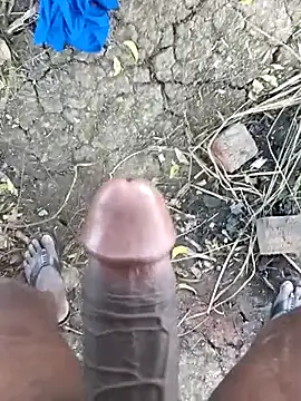 kalai 32 online show from February 10, 2026, 5:50 am