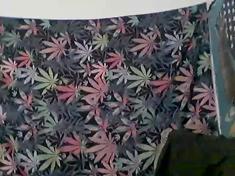 Snapshot of libraxxxstudios chatting on June 12, 2026, 12:36 pm libraxxxstudios online show from June 12, 2026, 12:36 pm
