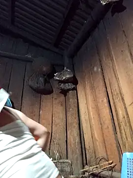 lena-cute online show from February 5, 2026, 12:56 pm