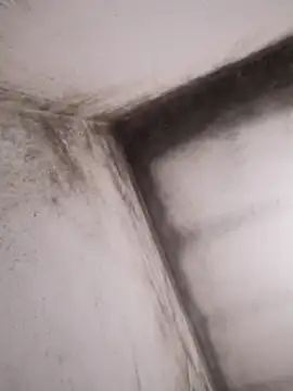 Lamich online show from February 13, 2026, 9:37 pm