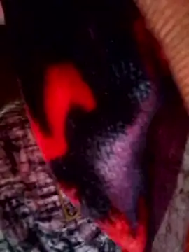 Talkwithsex online show from March 30, 2026, 2:46 am